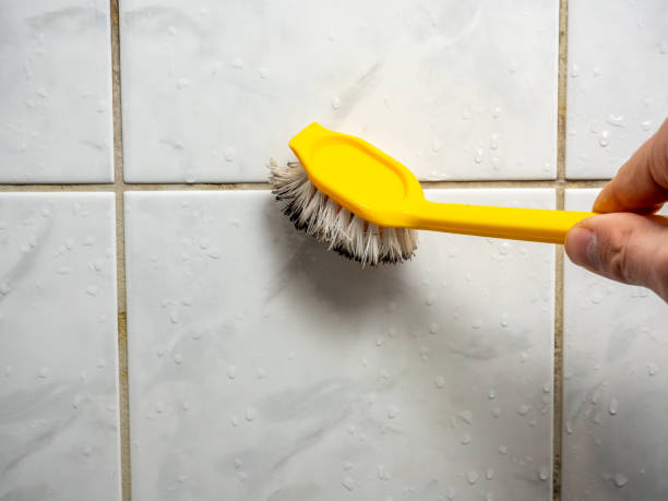 Best Affordable Mold Removal  in Forest Meadows, CA