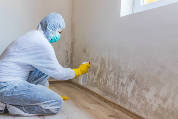 Best Crawl Space Mold Removal  in Forest Meadows, CA