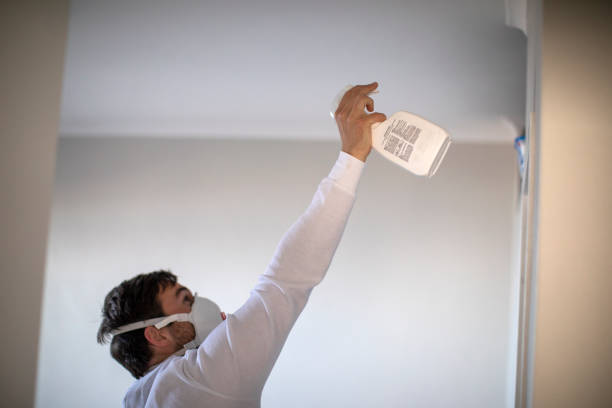 Best Same-Day Mold Removal  in Forest Meadows, CA