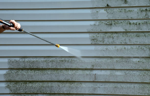 Best Mold Cleaning Services  in Forest Meadows, CA