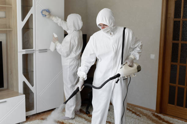 Best Certified Mold Removal  in Forest Meadows, CA