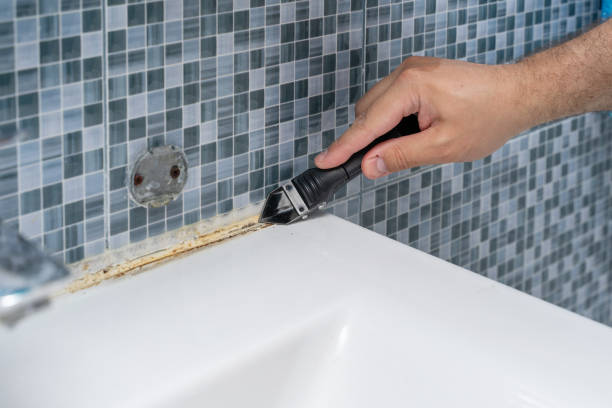 Best Mold Damage Repair  in Forest Meadows, CA
