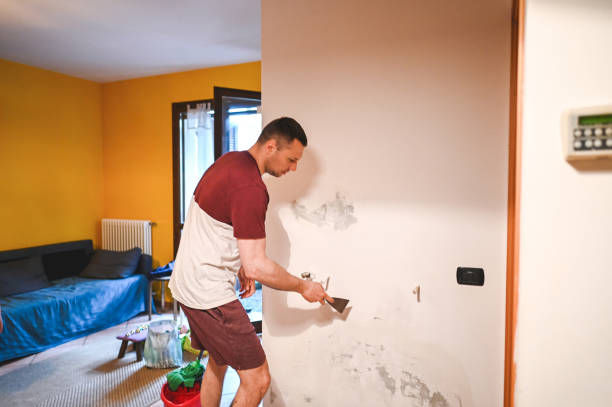Best Local Mold Removal Service  in Forest Meadows, CA